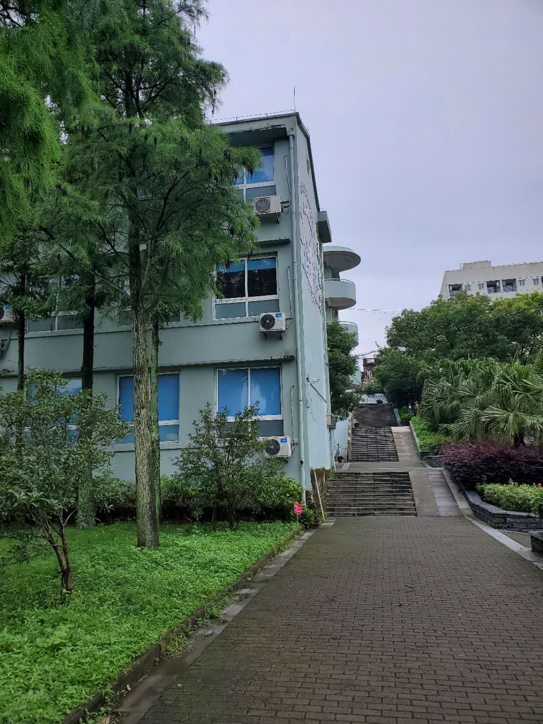 瑞安市第九中学防雷整改